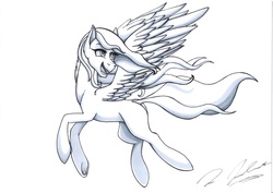 Size: 7019x4962 | Tagged: safe, artist:tsand106, oc, oc only, pegasus, pony, absurd resolution, flying, solo