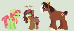 Size: 1024x436 | Tagged: safe, artist:aquadusk, tree hugger, trouble shoes, oc, oc:lucky tree, earth pony, pony, g4, bandana, blaze (coat marking), coat markings, crack ship offspring, crack shipping, facial markings, family, female, hat, male, mare, offspring, parent:tree hugger, parent:trouble shoes, parents:troublehugger, shipping, simple background, stallion, straight, trio, troublehugger