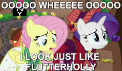 Size: 680x394 | Tagged: safe, edit, edited screencap, screencap, flutterholly, fluttershy, merry, rarity, a hearth's warming tail, g4, animated, discovery family logo, female, image macro, meme, tv-y, weezer