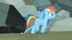 Size: 1280x720 | Tagged: safe, screencap, rainbow dash, g4, may the best pet win, female, rock, solo, stuck