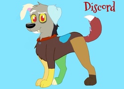 Size: 1024x736 | Tagged: safe, artist:butterfly13clouds, discord, dog, g4, male, solo, species swap