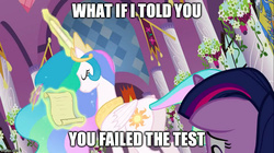 Size: 800x449 | Tagged: safe, princess celestia, twilight sparkle, g4, caption, morpheus, the matrix, what if i told you