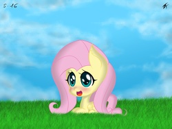 Size: 2048x1536 | Tagged: artist needed, safe, fluttershy, g4, female, solo, wat