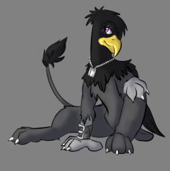 Size: 746x750 | Tagged: artist needed, safe, oc, oc only, oc:talas stormfeather, griffon, looking at you, scar, solo