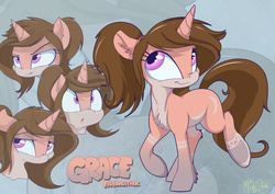 Size: 900x636 | Tagged: dead source, safe, artist:mistydash, oc, oc only, oc:grace fairweather, pony, unicorn, expressions, female, mare, reference sheet, solo, zoom layer