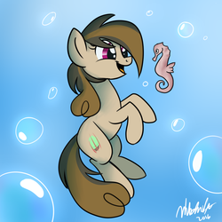 Size: 900x900 | Tagged: dead source, safe, artist:wubcakeva, oc, oc only, oc:cupcake slash, seahorse, solo, underwater