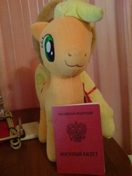 Size: 960x1280 | Tagged: safe, artist:onlyfactory, applejack, g4, :3, bootleg, irl, passport, photo, plushie, russian, solo, toy