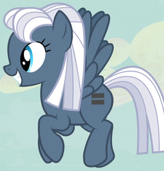 Size: 740x772 | Tagged: safe, screencap, night glider, pegasus, pony, g4, the cutie map, cropped, egalitarianism, equal cutie mark, equalized, equalized mane, female, flying, mare, smiling, solo