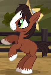 Size: 455x669 | Tagged: safe, screencap, trouble shoes, earth pony, pony, g4, colt, hat, male, solo, unshorn fetlocks, younger