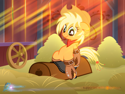 Size: 1000x750 | Tagged: safe, artist:nightmaremoons, applejack, earth pony, pony, g4, alternate hairstyle, bandana, barn, chaps, crepuscular rays, cute, female, patreon, patreon logo, pommel horse, saddle, show accurate, solo