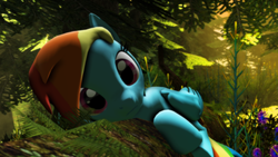 Size: 3840x2160 | Tagged: safe, artist:radiativespinger, rainbow dash, g4, 3d, cute, dashabetes, female, frown, head tilt, high res, looking at you, plants, prone, rock, solo, source filmmaker