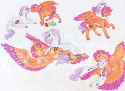 Size: 6656x4848 | Tagged: safe, artist:dawn22eagle, scootaloo, sweetie belle, classical unicorn, pegasus, pony, unicorn, g4, absurd resolution, cloven hooves, colored wings, colored wingtips, cute, cutie mark, female, filly, horn, horn licking, leonine tail, lesbian, older, ponies riding ponies, riding, scootaloo can fly, scootalove, scrunchy face, ship:scootabelle, shipping, spiked wristband, sweetie belle riding scootaloo, tail feathers, the cmc's cutie marks, traditional art, unshorn fetlocks, wingboner, wings, wristband