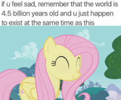 Size: 960x796 | Tagged: safe, edit, edited screencap, screencap, fluttershy, g4, cute, image macro, meme, text