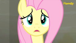 Size: 1600x900 | Tagged: safe, screencap, fluttershy, g4, the saddle row review, discovery family logo, female, solo