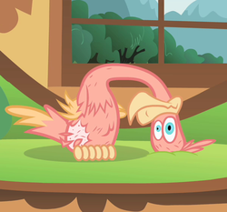 Size: 600x560 | Tagged: safe, screencap, philomena, phoenix, a bird in the hoof, g4, cropped, female, solo