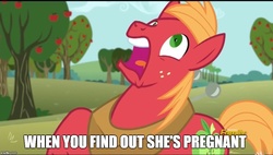 Size: 882x500 | Tagged: safe, big macintosh, earth pony, pony, g4, no second prances, image macro, male, meme, pregnant, stallion