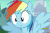 Size: 540x360 | Tagged: safe, screencap, rainbow dash, g4, no second prances, animated, cute, discovery family logo, female, flying, open mouth, solo