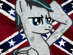 Size: 800x600 | Tagged: safe, artist:silversthreads, oc, oc only, oc:socky noob, pegasus, pony, birthday gift, confederate flag, discussion in the comments, flag, male, politics in the comments, rainbow dash salutes, rebel, salute, solo, stallion