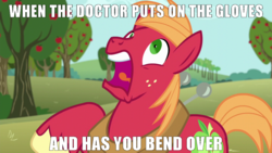 Size: 1280x720 | Tagged: safe, edit, edited screencap, screencap, big macintosh, earth pony, pony, g4, no second prances, bend over, caption, image macro, implied prostate exam, male, meme, stallion, text