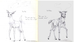 Size: 2051x1179 | Tagged: safe, artist:wisdom-thumbs, oc, oc only, deer, lined paper, monochrome, pencil drawing, skull, swordpony, traditional art