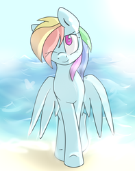 Size: 1024x1300 | Tagged: safe, artist:fuckingflutterdash, rainbow dash, pegasus, pony, g4, beach, female, solo, wink