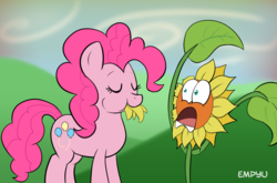 Size: 1000x661 | Tagged: safe, artist:empyu, pinkie pie, earth pony, pony, do princesses dream of magic sheep, g4, d:, duo, eating, eyes closed, female, flower, frown, furry reminder, herbivore, horses doing horse things, mare, nightmare sunflower, open mouth, puffy cheeks, smiling, sunflower, wide eyes