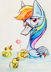 Size: 915x1280 | Tagged: safe, artist:meskitt, rainbow dash, duck, duck pony, g4, bill, clothes, costume, duckling, heart, pegaduck, rainbow duck