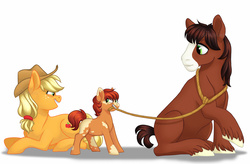 Size: 1600x1050 | Tagged: dead source, safe, artist:whisperseas, applejack, trouble shoes, oc, oc:crab apple, earth pony, pony, g4, blaze (coat marking), coat markings, facial markings, female, foal, freckles, hatless, lasso, male, mama applejack, mare, missing accessory, missing cutie mark, mommajack, mouth hold, offspring, parent:applejack, parent:trouble shoes, parents:troublejack, piebald coat, prone, rope, shipping, short tail, sitting, stallion, straight, trio, troublejack, watermark