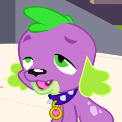 Size: 582x582 | Tagged: safe, screencap, spike, dog, equestria girls, g4, my little pony equestria girls, cropped, faic, male, solo, spike the dog