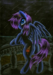 Size: 1647x2321 | Tagged: safe, artist:jedieldaniel, oc, oc only, pegasus, pony, night, solo