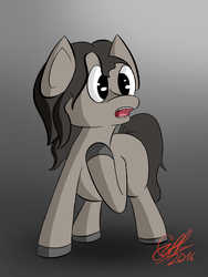 Size: 840x1120 | Tagged: safe, artist:gift, earth pony, pony, brown mane, solo, standing