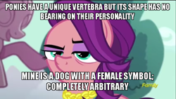 Size: 800x450 | Tagged: safe, edit, edited screencap, screencap, spoiled rich, earth pony, pony, bloom & gloom, crusaders of the lost mark, g4, newbie dash, bitch, female, image macro, meme, reference, solo, spoiled bitch, vertebrae