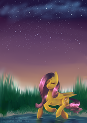 Size: 800x1132 | Tagged: safe, artist:nalenthi, fluttershy, pegasus, pony, g4, female, solo, stars, water