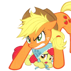 Size: 540x540 | Tagged: safe, artist:akira himekawa, apple bloom, applejack, g4, official, angry, behaving like a dog, big sister instinct, bonnet, cowering, cropped, cute, determined, gritted teeth, mama bear, manga, protecting, scared