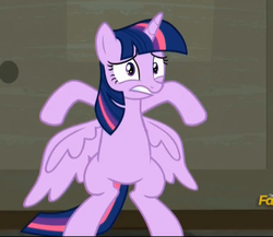 Size: 1537x1335 | Tagged: safe, screencap, twilight sparkle, alicorn, pony, g4, the saddle row review, against wall, bipedal, female, horn, mare, scared, solo, spread wings, standing, twilight sparkle (alicorn), wings