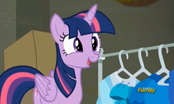 Size: 728x437 | Tagged: safe, screencap, twilight sparkle, alicorn, pony, g4, the saddle row review, discovery family logo, female, mare, solo, twilight sparkle (alicorn)