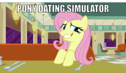 Size: 2001x1163 | Tagged: safe, edit, edited screencap, screencap, fluttershy, mr. waddle, g4, the saddle row review, image macro, meme, solo focus