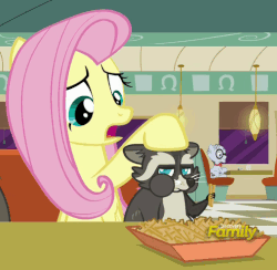 Size: 507x494 | Tagged: safe, screencap, fluttershy, mr. waddle, smoky jr., raccoon, g4, the saddle row review, animated, discovery family logo, loop