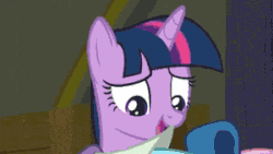 Size: 300x169 | Tagged: safe, screencap, twilight sparkle, alicorn, pony, g4, the saddle row review, animated, female, frown, loop, mare, open mouth, smiling, solo, twilight sparkle (alicorn), wide eyes