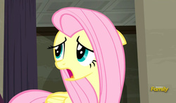 Size: 795x469 | Tagged: safe, screencap, fluttershy, g4, the saddle row review, discovery family logo, sad