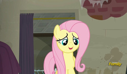 Size: 795x469 | Tagged: safe, screencap, fluttershy, g4, the saddle row review, discovery family logo
