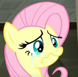 Size: 406x404 | Tagged: safe, screencap, fluttershy, g4, the saddle row review, crying, sad