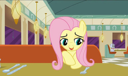 Size: 795x477 | Tagged: safe, screencap, fluttershy, mr. waddle, g4, the saddle row review