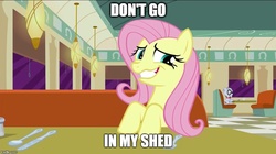 Size: 888x499 | Tagged: safe, edit, edited screencap, screencap, fluttershy, mr. waddle, .mov, shed.mov, g4, the saddle row review, faic, fluttershed, image macro, meme