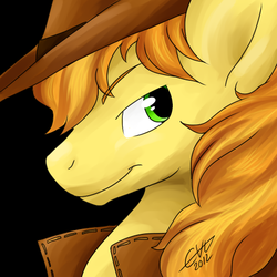 Size: 512x512 | Tagged: safe, artist:fizzy-dog, braeburn, earth pony, pony, g4, bust, male, portrait, solo