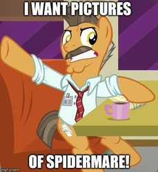 Size: 500x546 | Tagged: safe, edit, edited screencap, screencap, buried lede, g4, the saddle row review, caption, j. jonah jameson, spider-mare, text