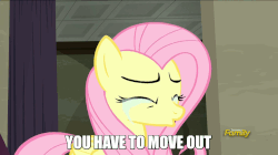 Size: 858x482 | Tagged: safe, screencap, fluttershy, smoky, smoky jr., softpad, raccoon, g4, the saddle row review, angry, animated, crying, discovery family logo, eviction, female, furious, rebellion