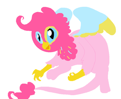 Size: 657x540 | Tagged: safe, artist:angelstar000, pinkie pie, griffon, g4, bubble berry, griffonized, my little griffon, rule 63, simple background, solo, species swap, white background