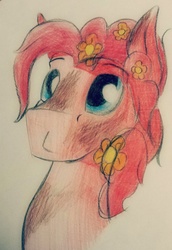 Size: 605x878 | Tagged: safe, artist:php37, pinkie pie, g4, bubble berry, rule 63, solo, traditional art