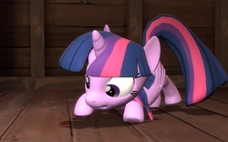 Size: 1152x720 | Tagged: safe, artist:pika-robo, twilight sparkle, alicorn, pony, g4, 3d, behaving like a cat, behaving like a dog, dot, female, gmod, laser pointer, mare, twilight cat, twilight sparkle (alicorn)